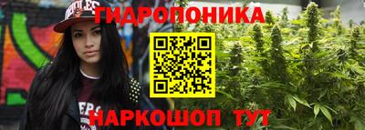 индика Абакан