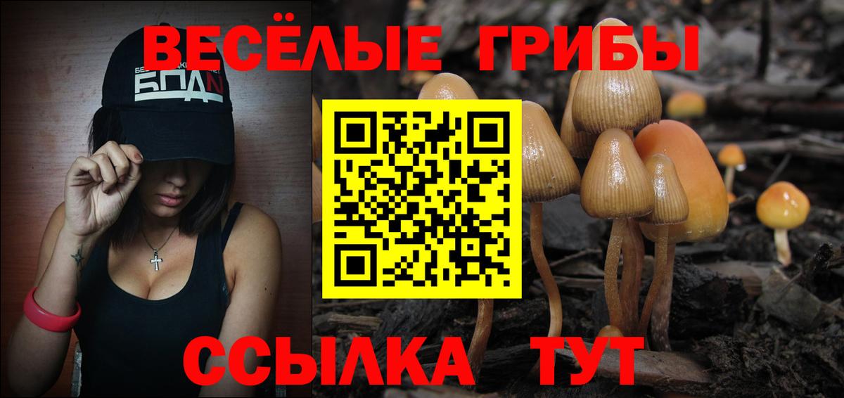 Псилоцибиновые грибы Magic Shrooms  Вход с VPN  Алушта 