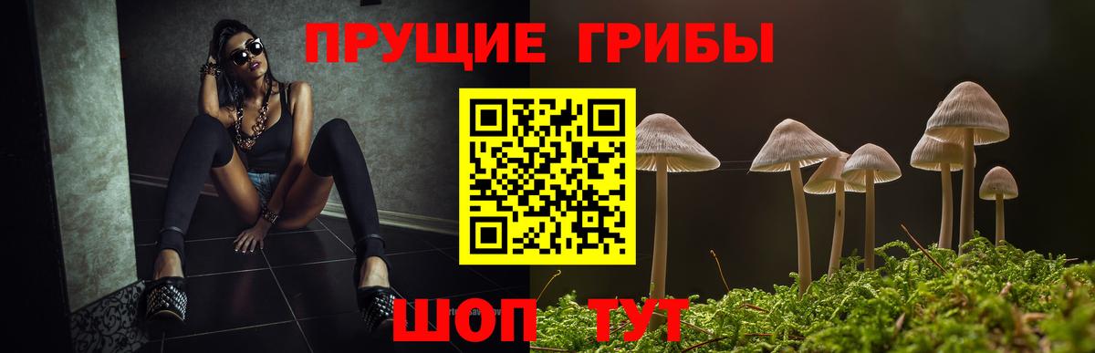 Галлюциногенные грибы мицелий Алушта